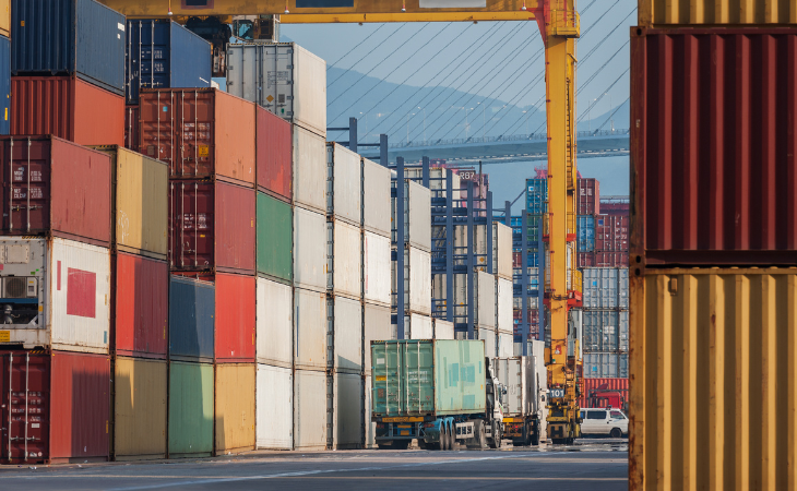 Transporte de Cargas Especiais: Desvendando os Segredos da Logística